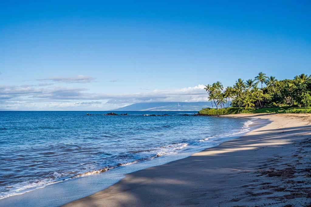 Aloha Moon - A Chic And Dreamy Modern Tropical Hideaway! Lejlighed Wailea  Eksteriør billede